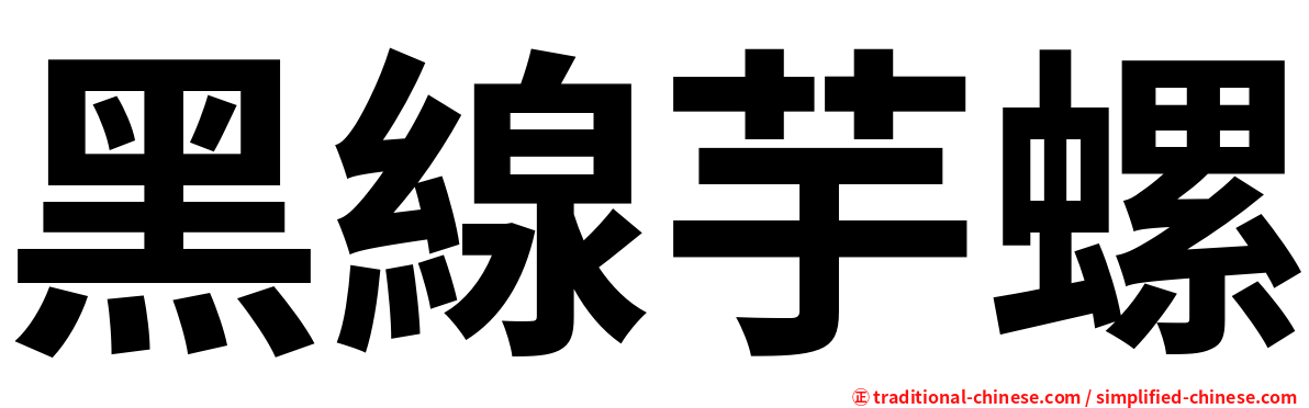 黑線芋螺
