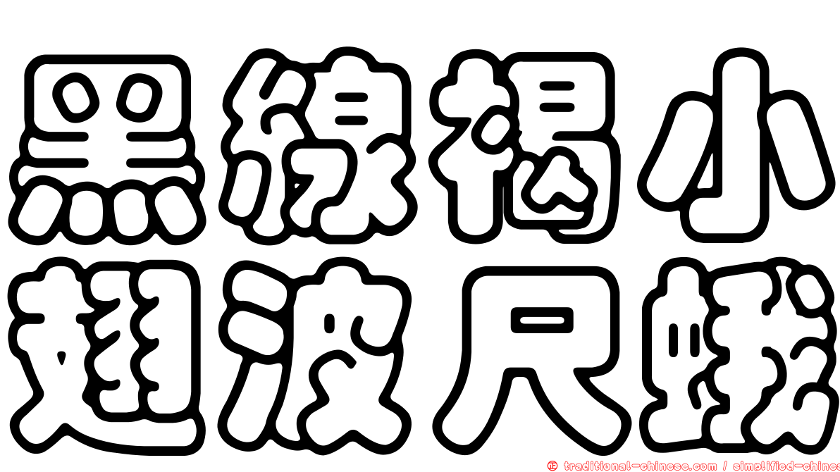 黑線褐小翅波尺蛾