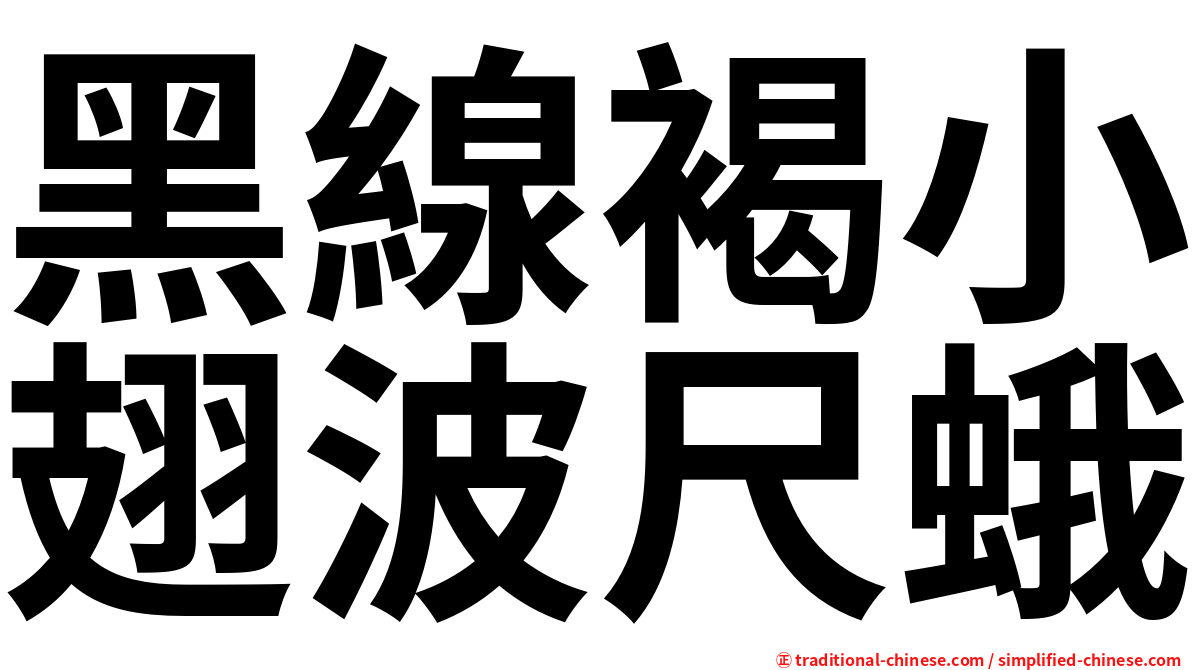 黑線褐小翅波尺蛾