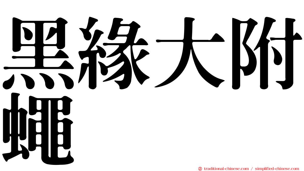 黑緣大附蠅
