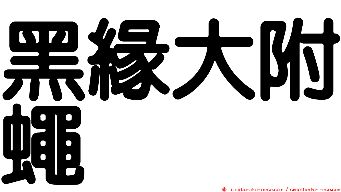 黑緣大附蠅