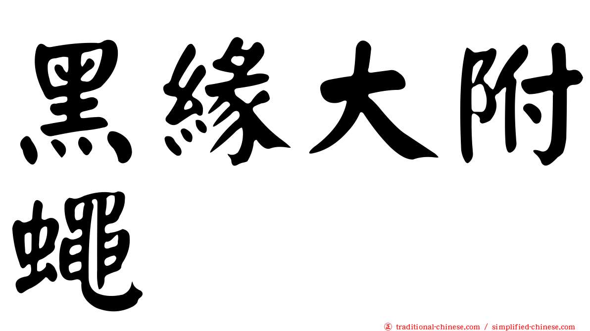 黑緣大附蠅