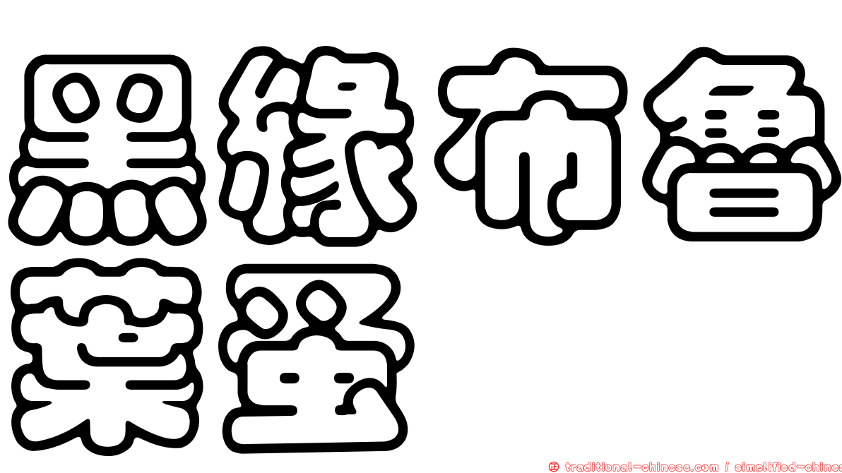 黑緣布魯葉蚤