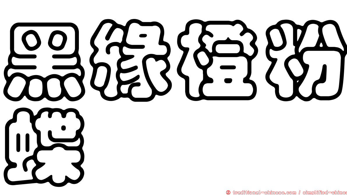 黑緣橙粉蝶