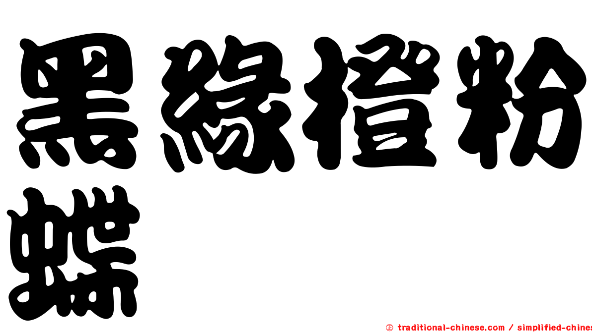 黑緣橙粉蝶