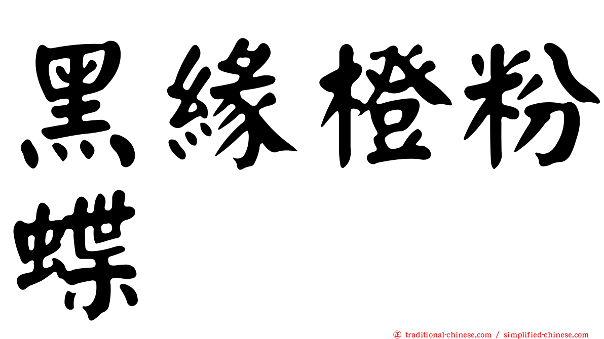 黑緣橙粉蝶