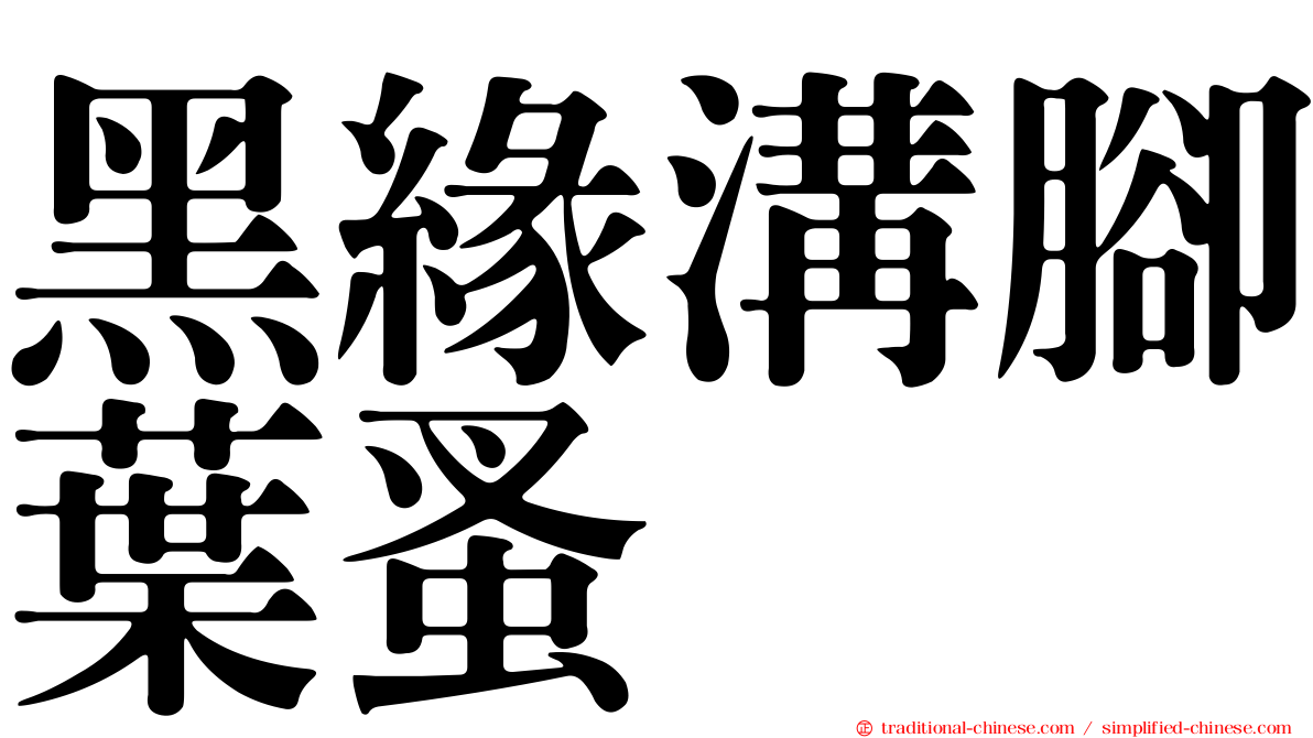 黑緣溝腳葉蚤