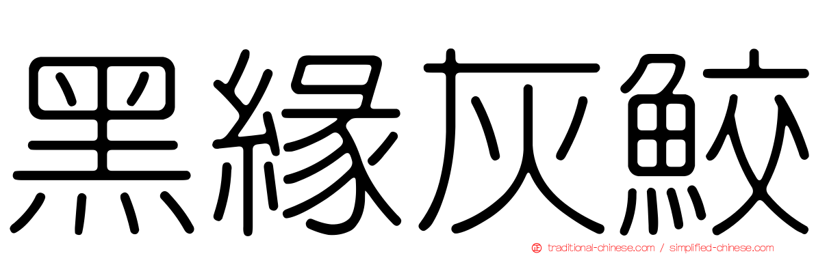 黑緣灰鮫