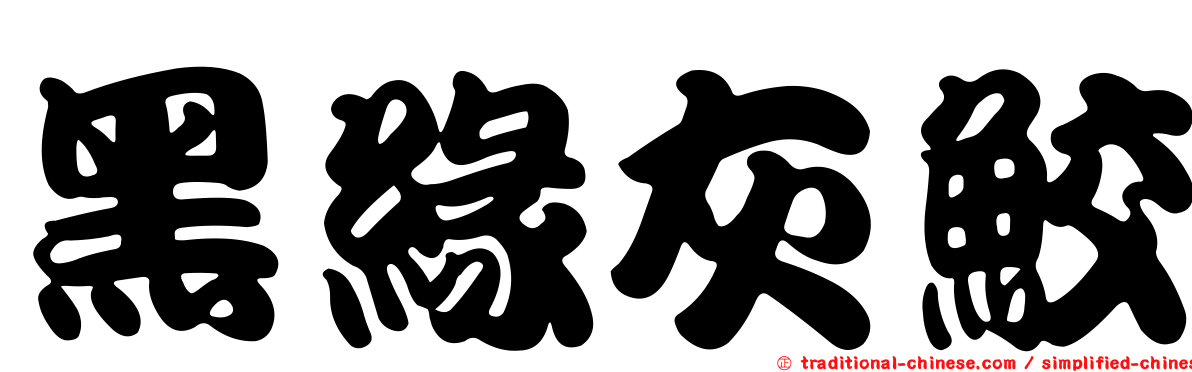 黑緣灰鮫