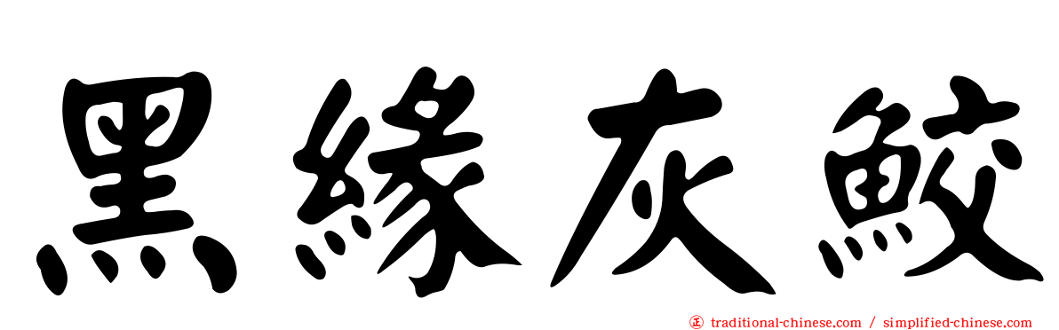 黑緣灰鮫