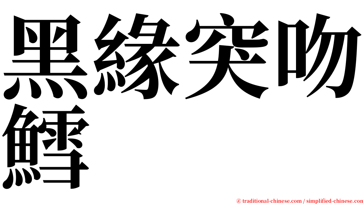 黑緣突吻鱈 serif font