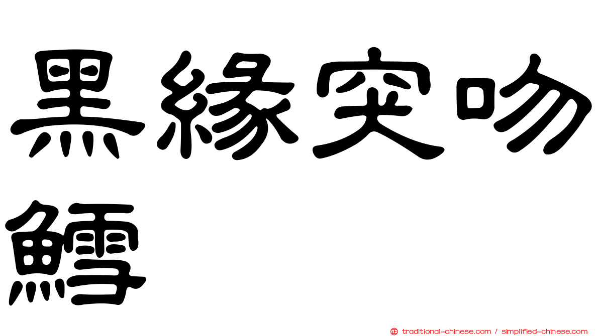 黑緣突吻鱈