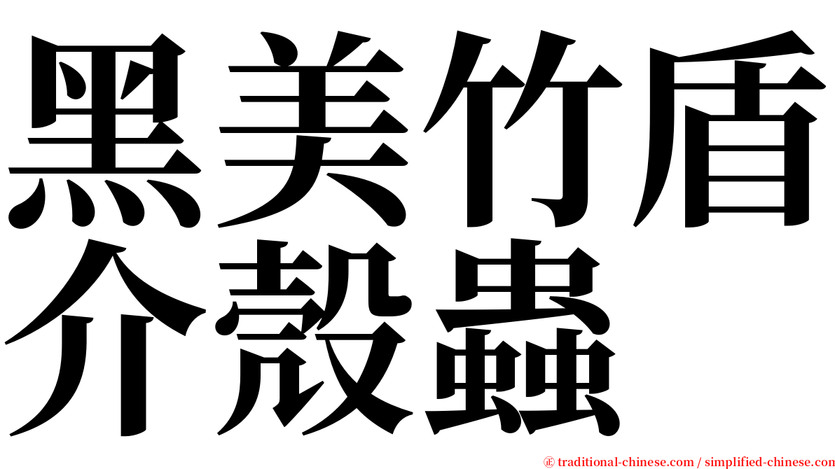 黑美竹盾介殼蟲 serif font