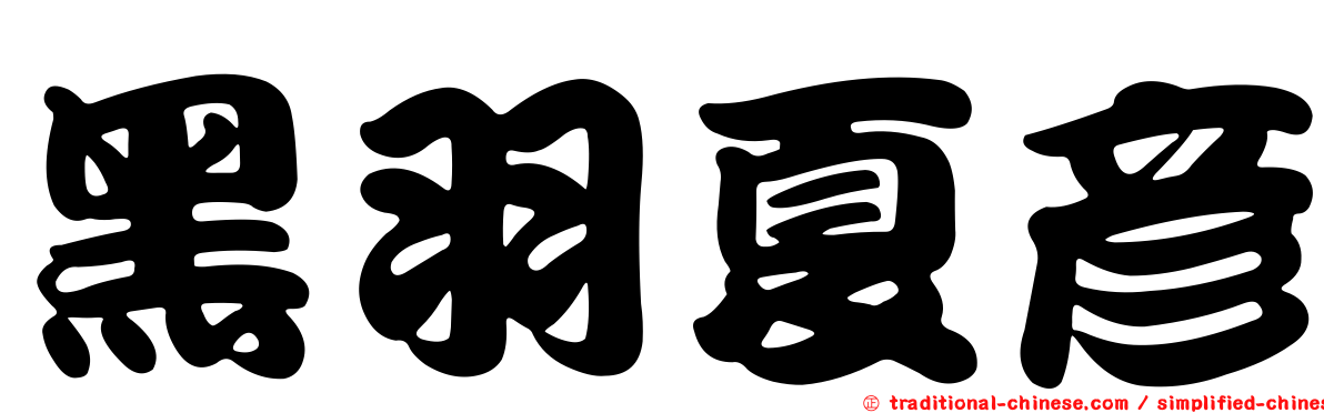 黑羽夏彥