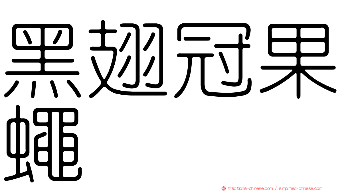 黑翅冠果蠅