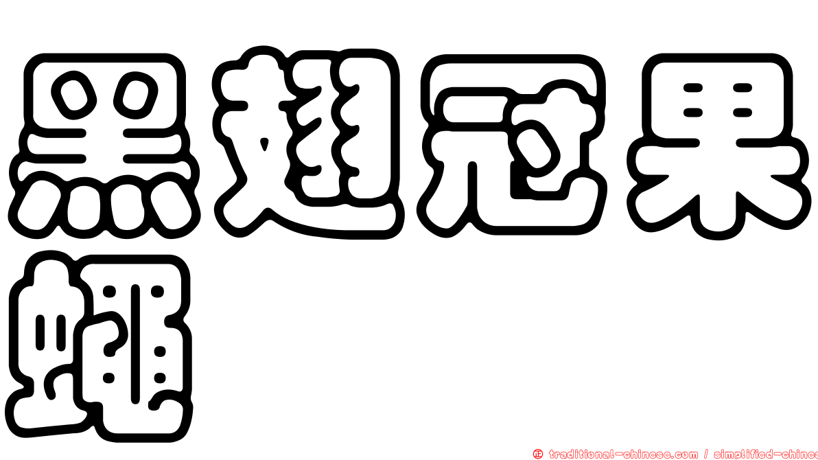 黑翅冠果蠅