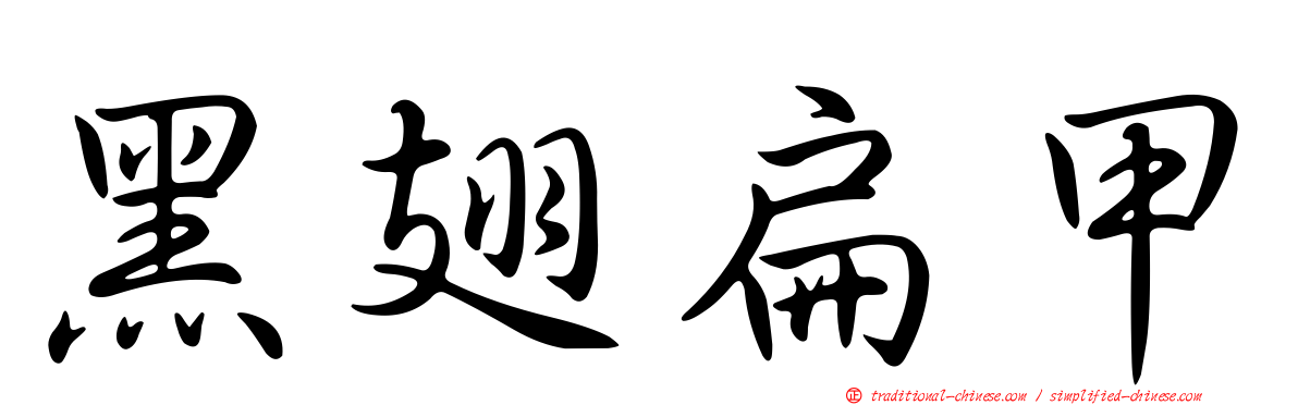 黑翅扁甲