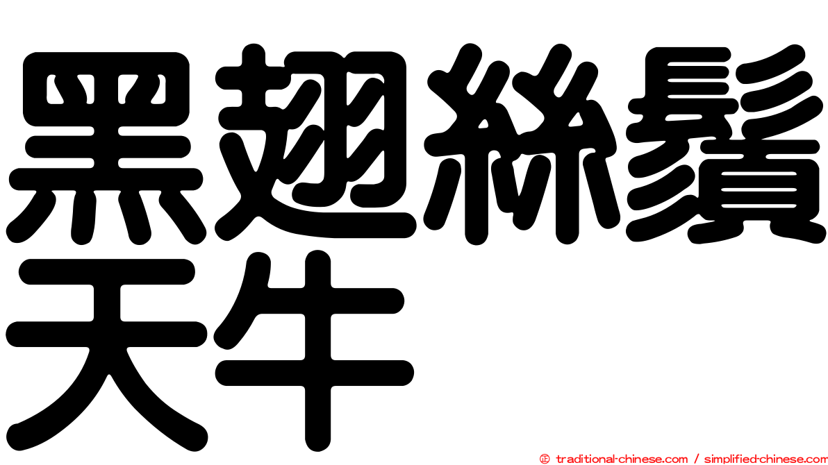 黑翅絲鬚天牛