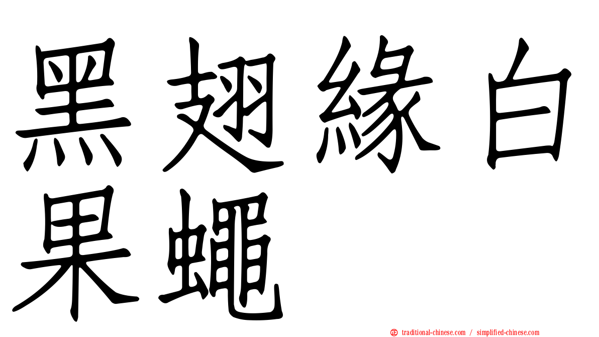 黑翅緣白果蠅