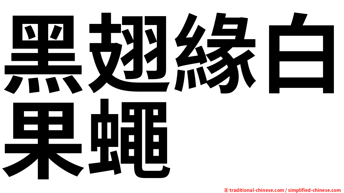 黑翅緣白果蠅
