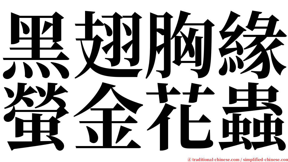 黑翅胸緣螢金花蟲 serif font