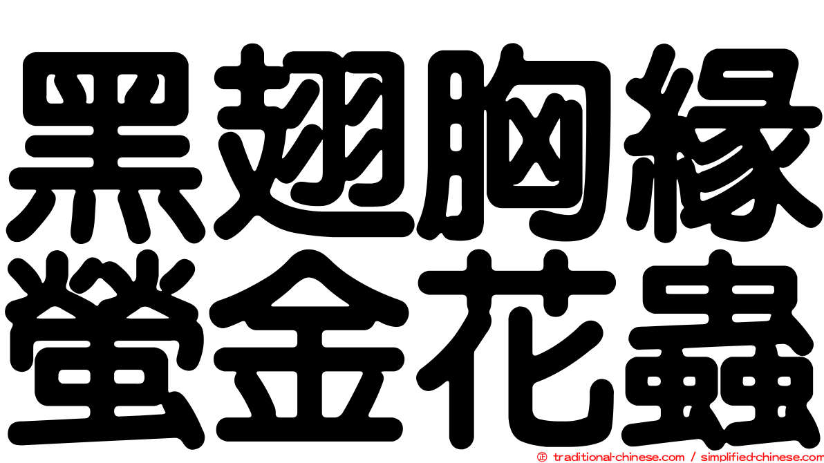 黑翅胸緣螢金花蟲