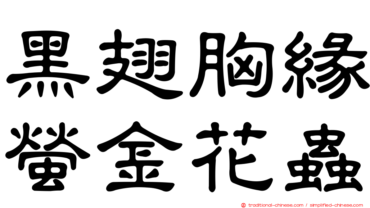 黑翅胸緣螢金花蟲