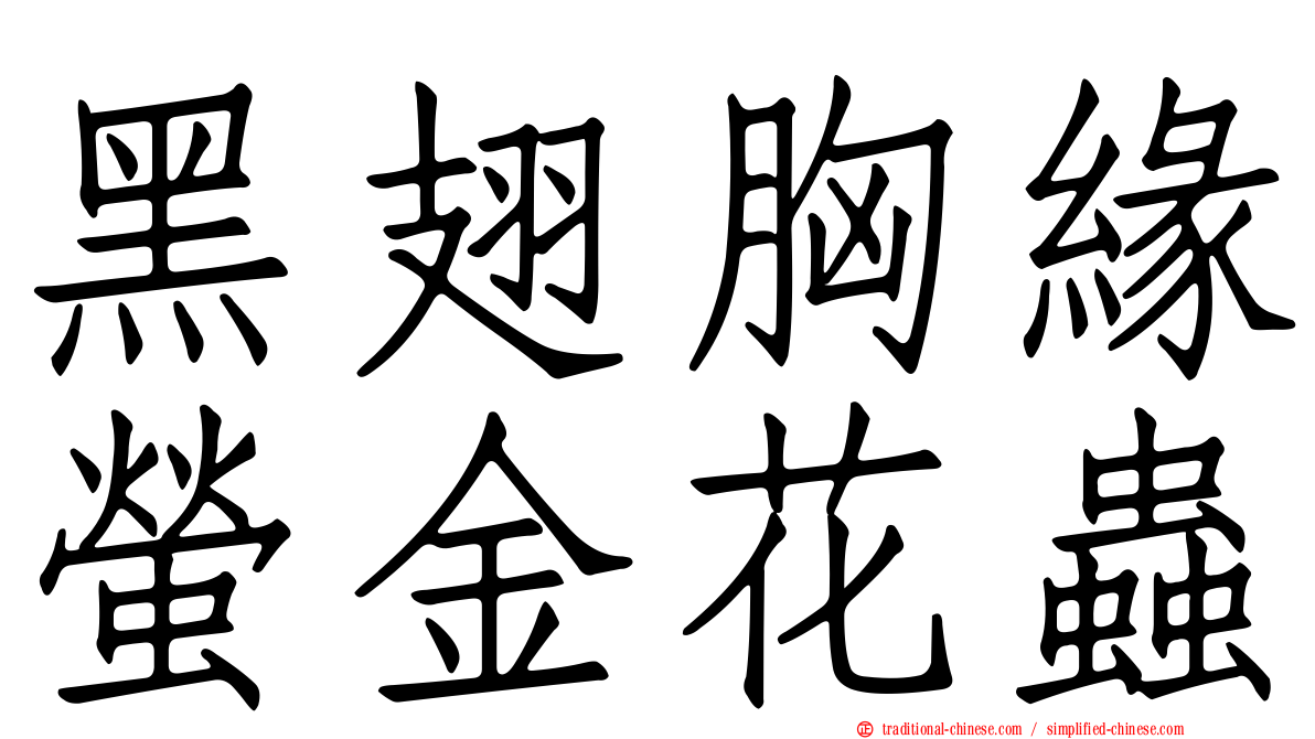 黑翅胸緣螢金花蟲