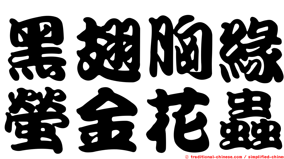 黑翅胸緣螢金花蟲
