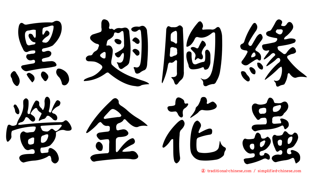 黑翅胸緣螢金花蟲
