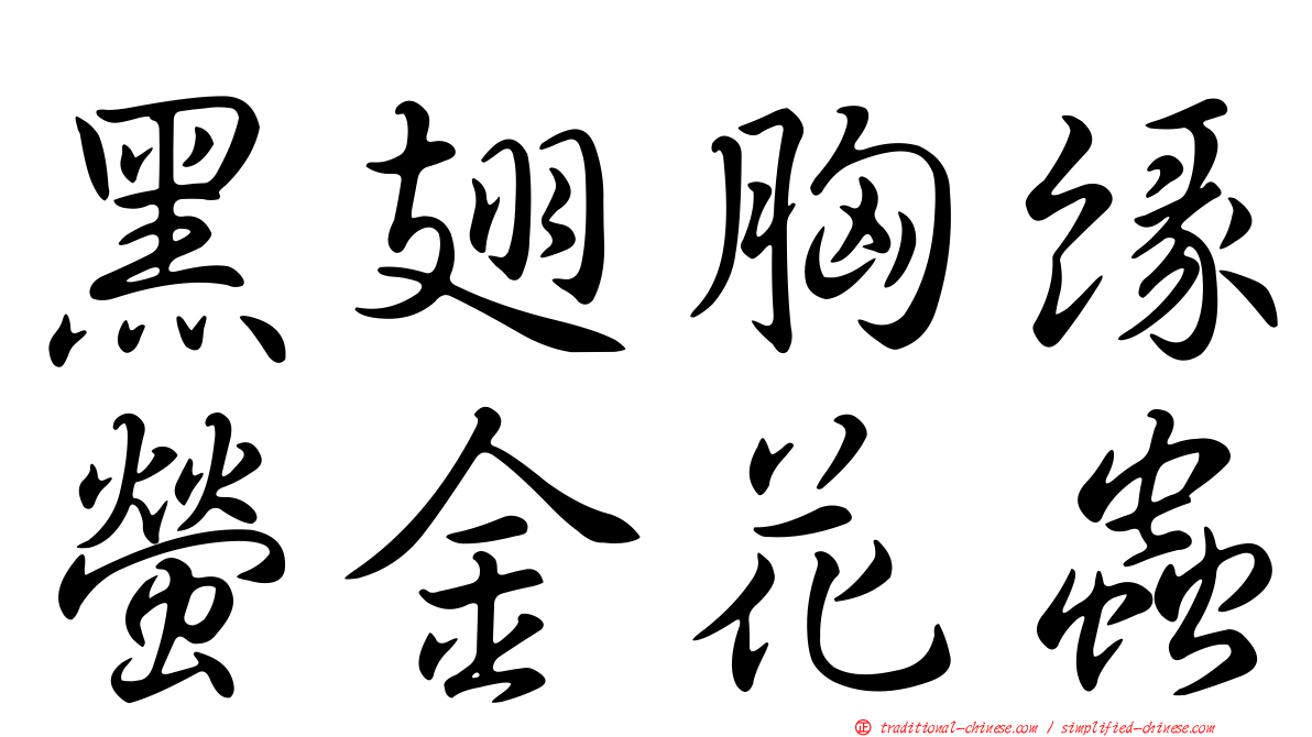 黑翅胸緣螢金花蟲