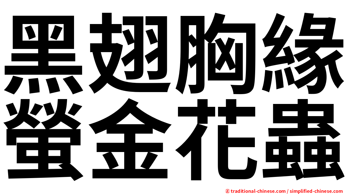 黑翅胸緣螢金花蟲