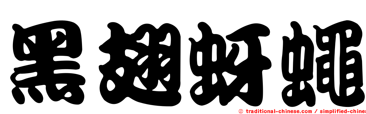 黑翅蚜蠅