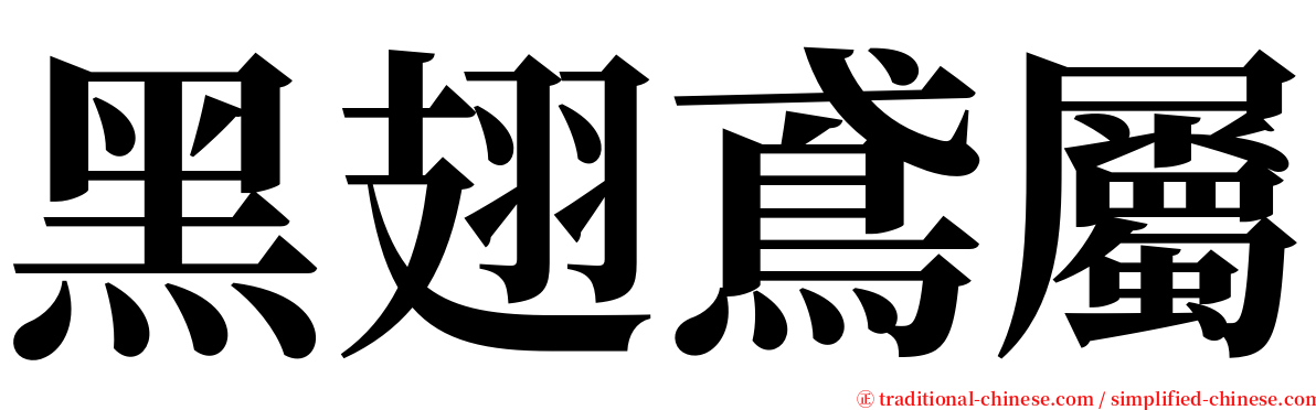 黑翅鳶屬 serif font