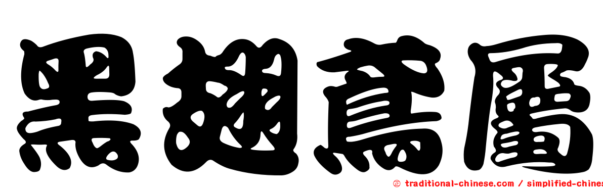 黑翅鳶屬