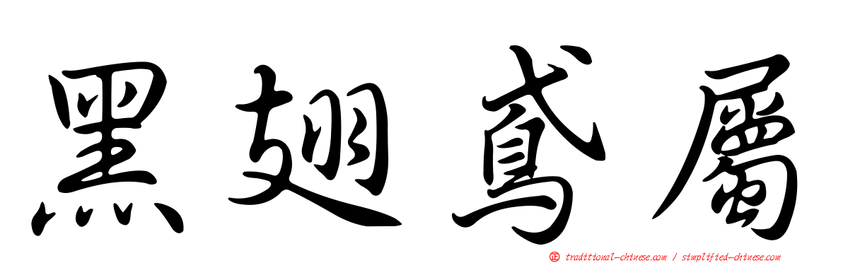 黑翅鳶屬