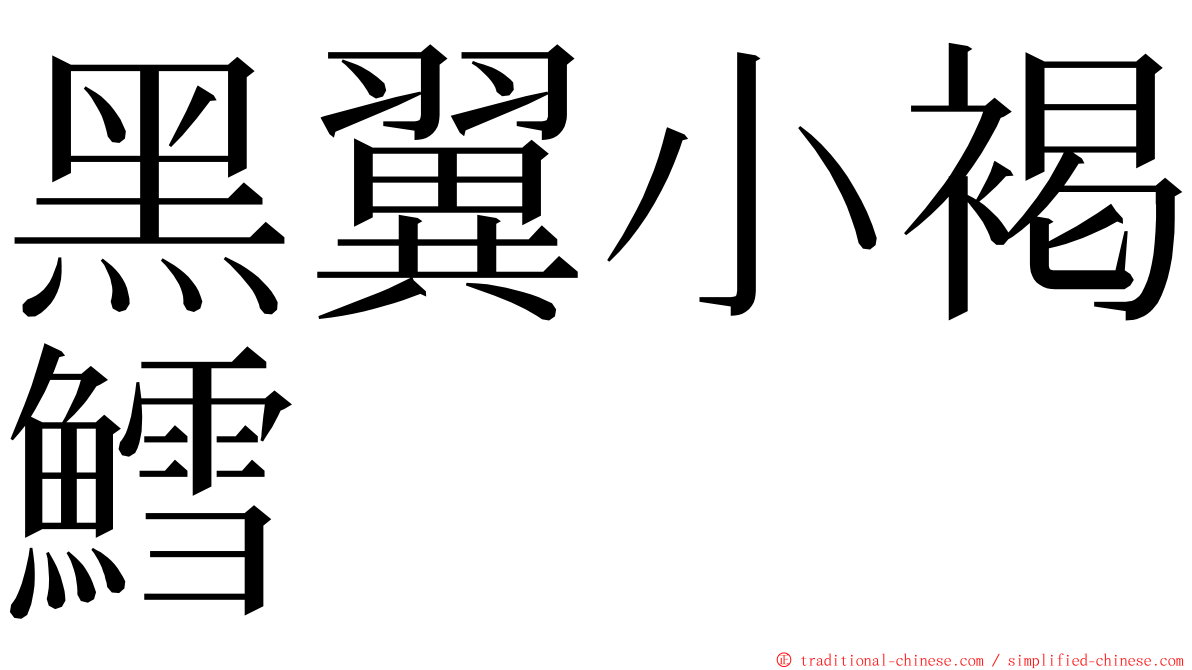 黑翼小褐鱈 ming font