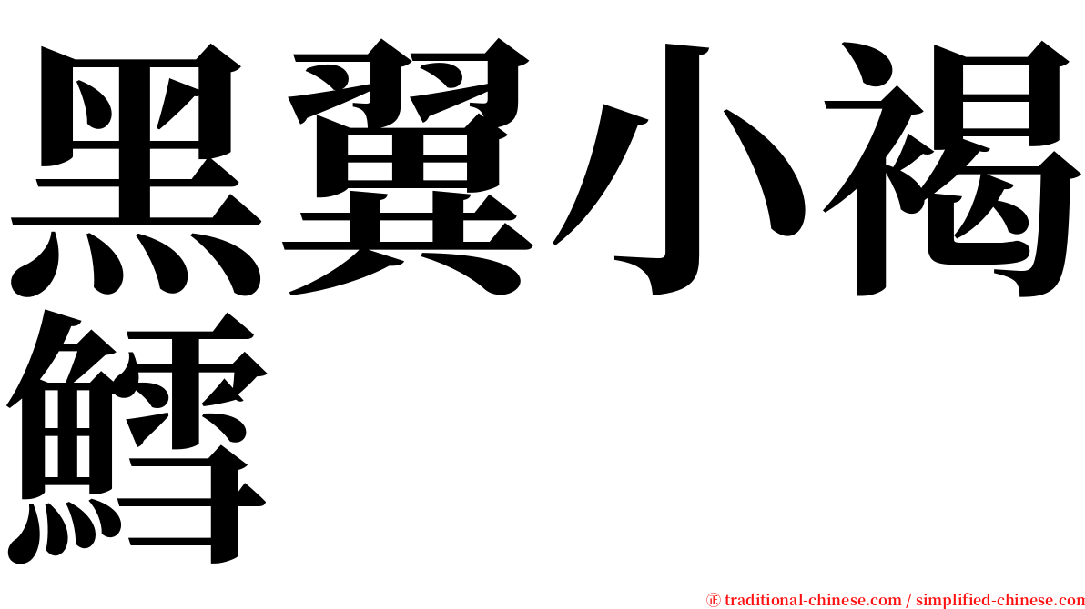 黑翼小褐鱈 serif font