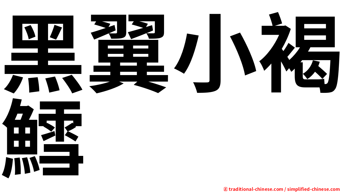 黑翼小褐鱈