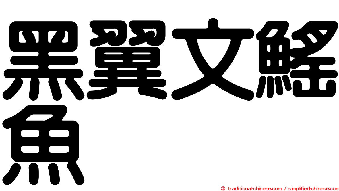 黑翼文鰩魚