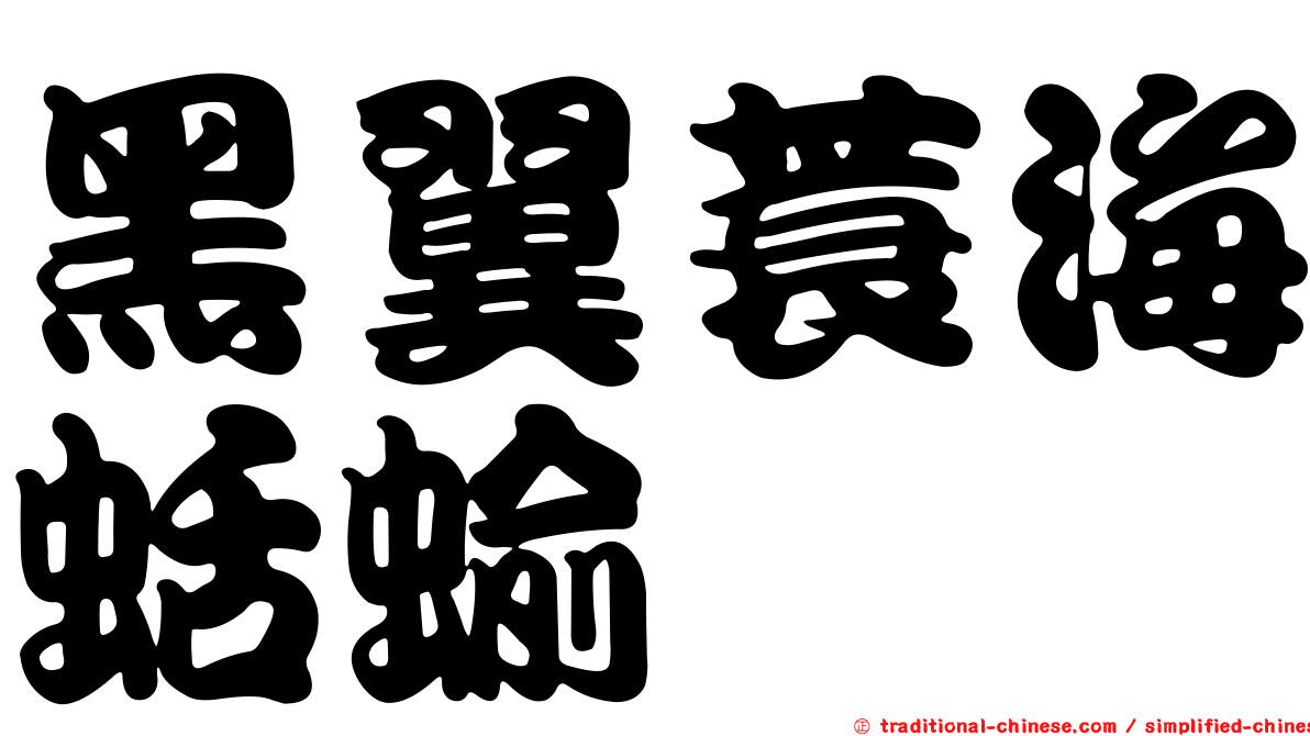 黑翼蓑海蛞蝓