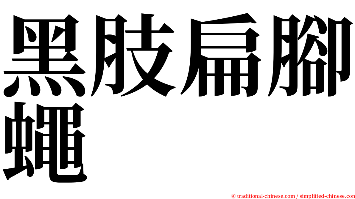 黑肢扁腳蠅 serif font