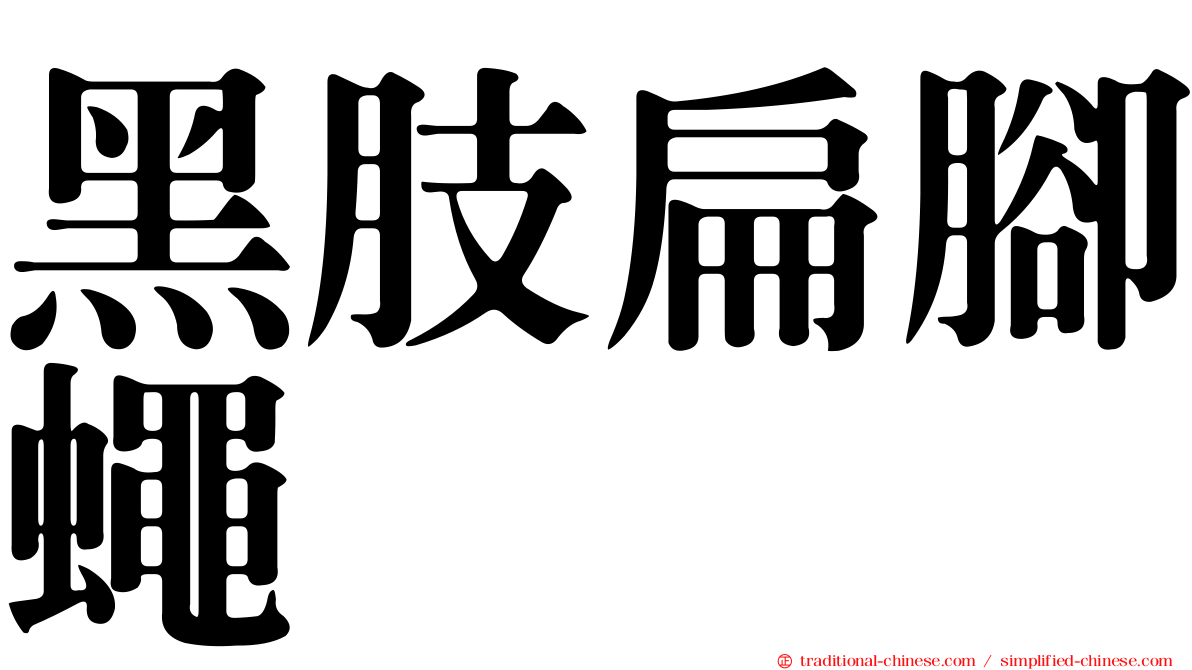 黑肢扁腳蠅