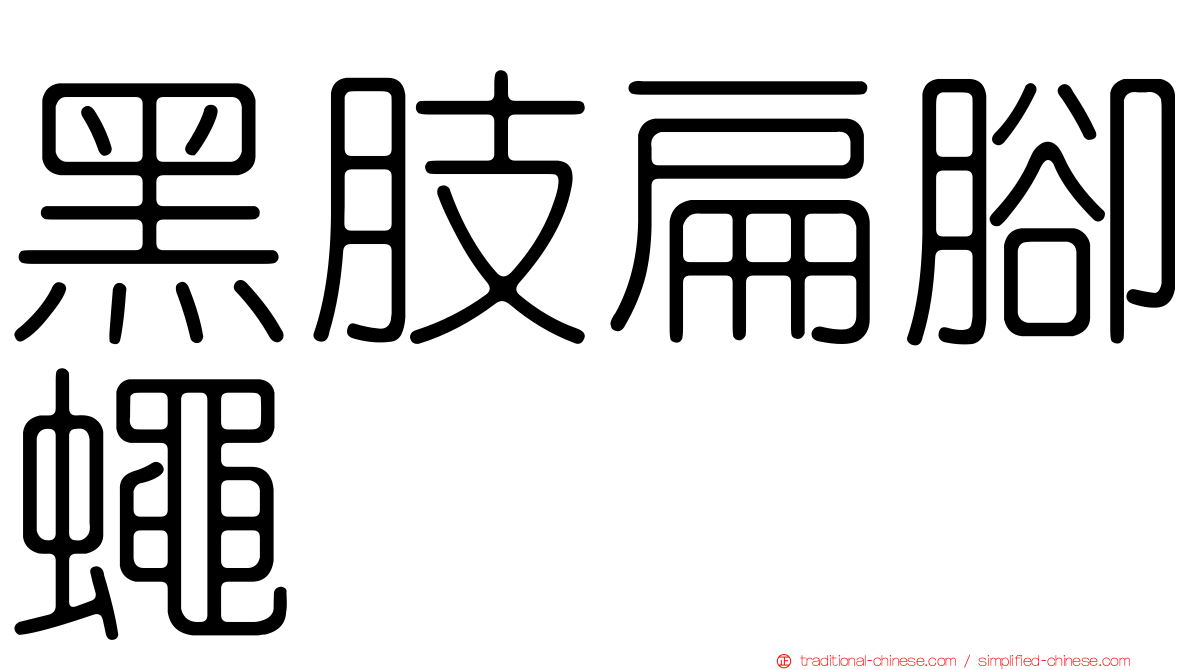 黑肢扁腳蠅