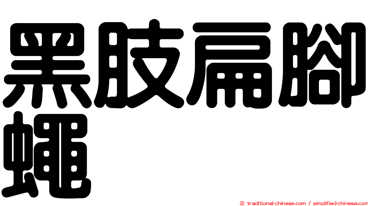 黑肢扁腳蠅