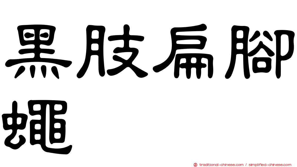 黑肢扁腳蠅