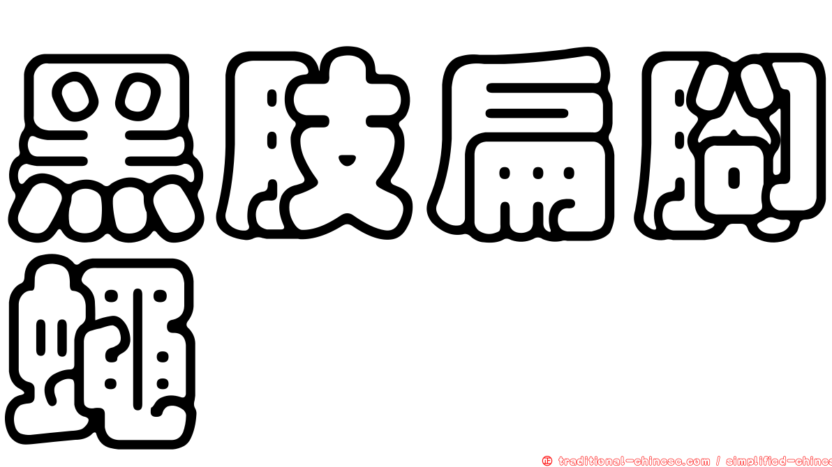 黑肢扁腳蠅