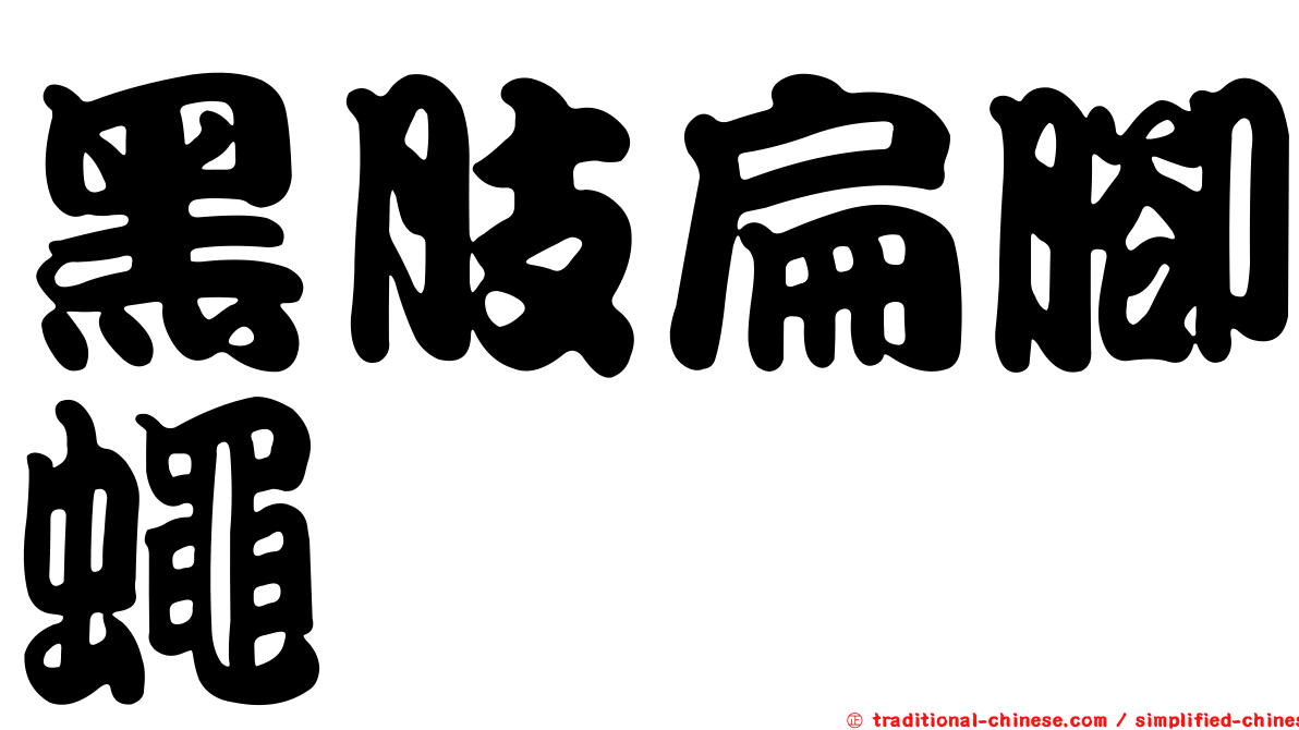 黑肢扁腳蠅