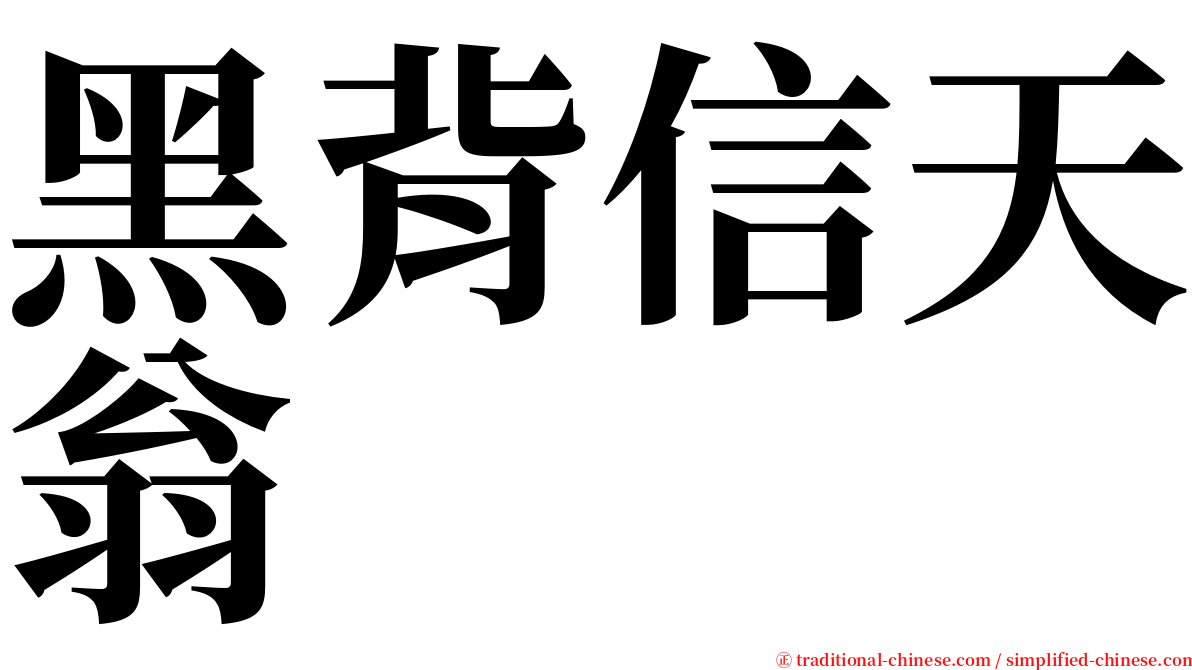 黑背信天翁 serif font