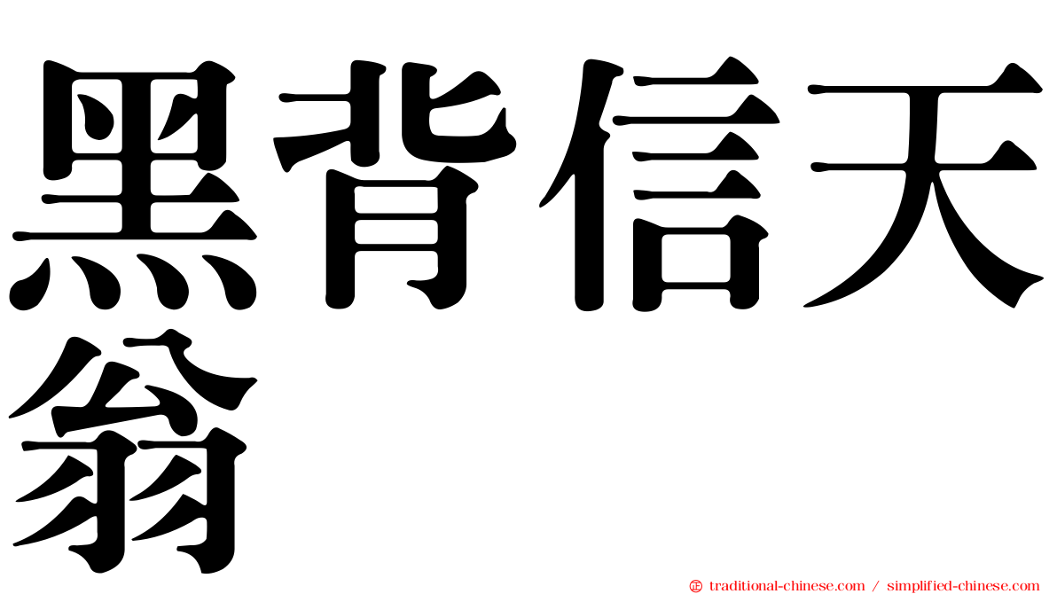 黑背信天翁